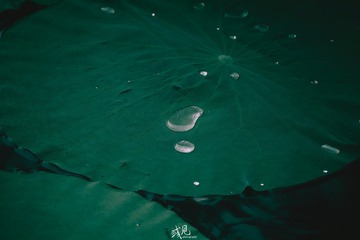 0CE7D454-66CF-43EA-8BC2-282515452A0B/L0/001