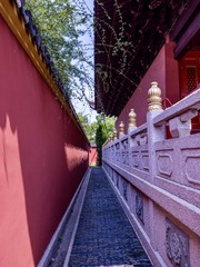 806D7977-B8F5-47D6-BBED-3F13A3F405D3/L0/001
