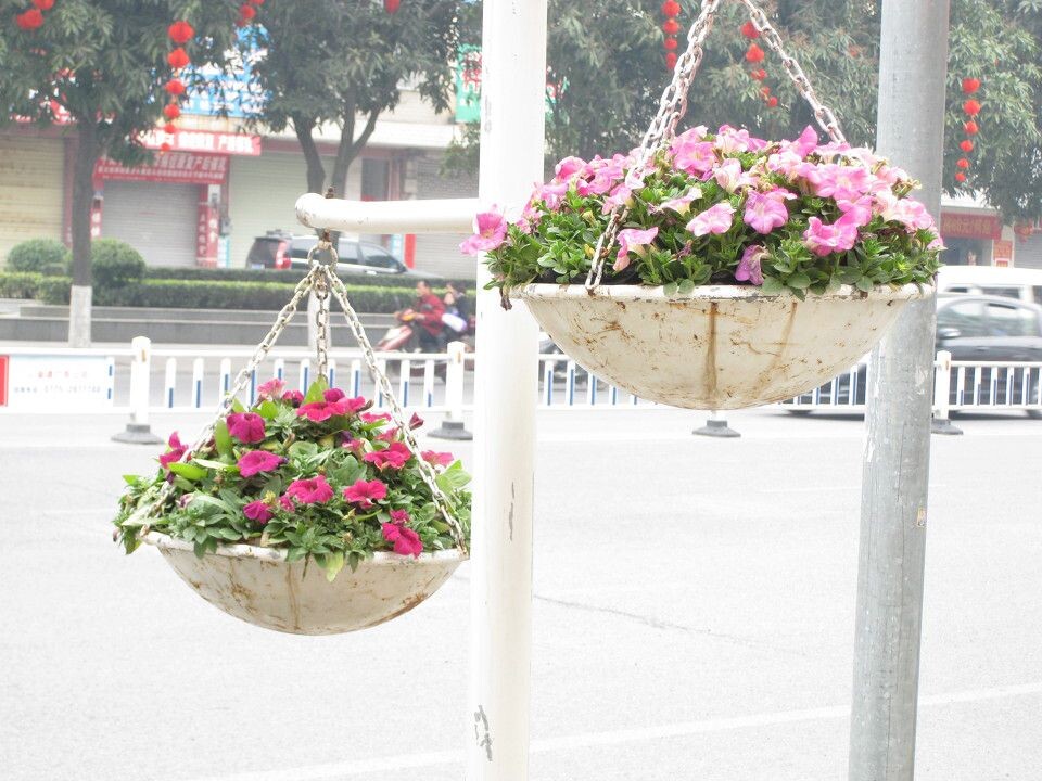 花·<br />
