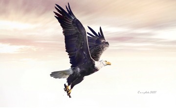 EC469BF6-8EC3-442E-9B22-EDCBA44C54E4/L0/001