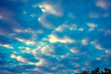 20150116-0001