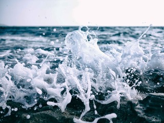海之舞