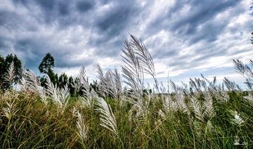 20141109-0011