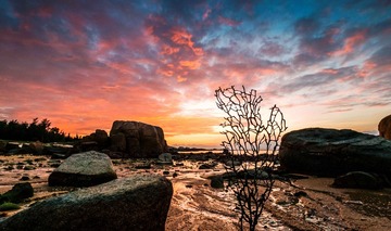 20141110-0014