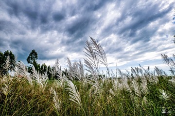 20141109-0011