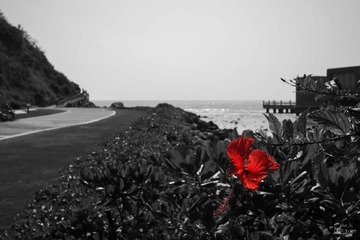 20150120-0130-编辑