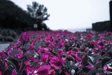20150120-0144