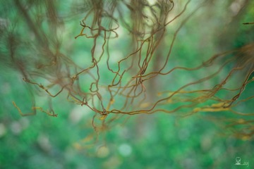 20150120-0161