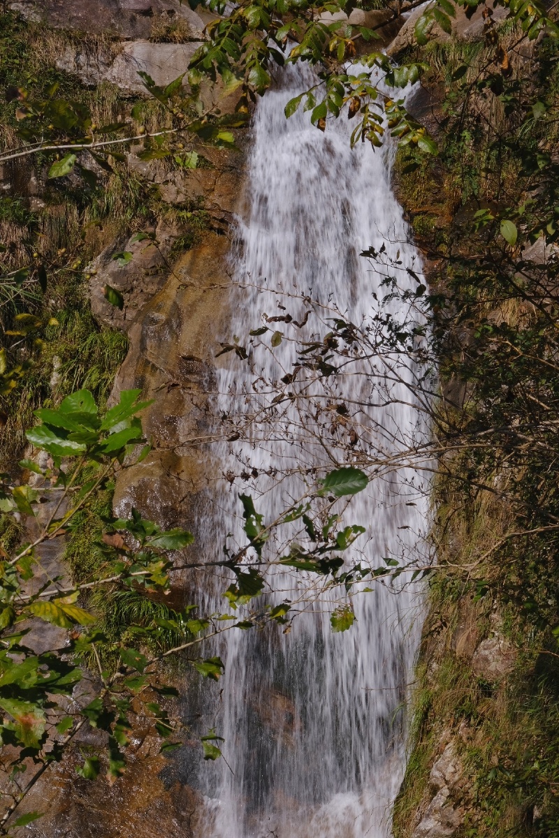 万山深处断人烟溪水潺潺接涧泉