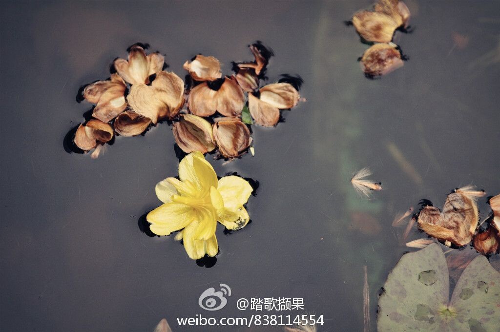 2014春，静安公园。