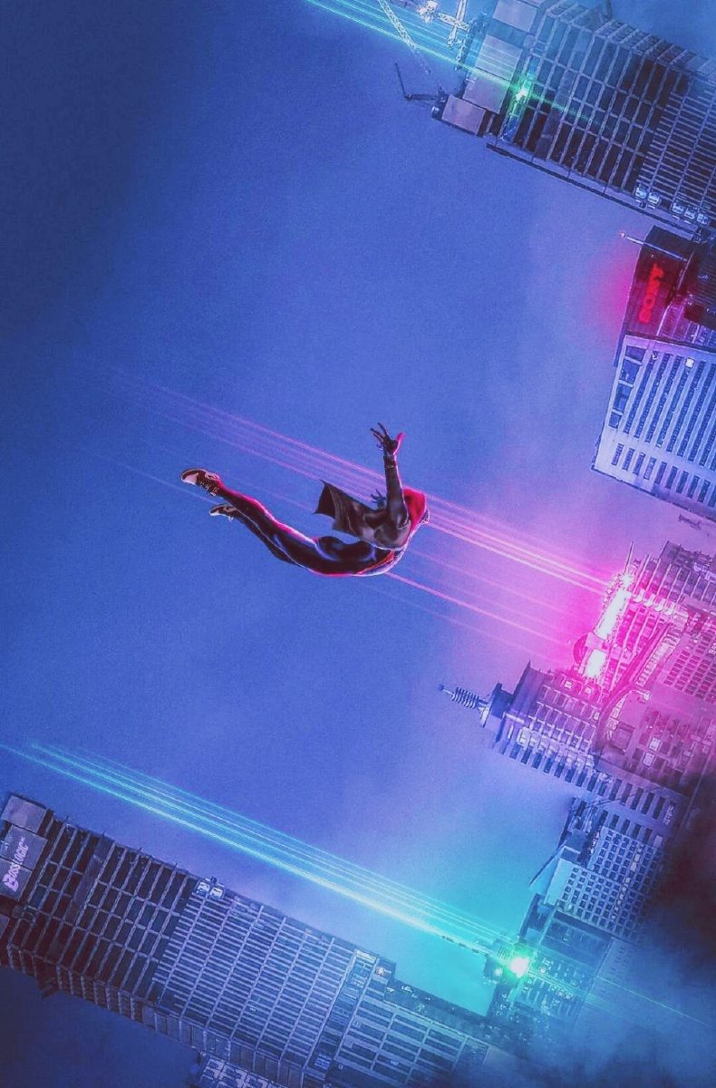 小蜘蛛 - 子然一人 - 图虫