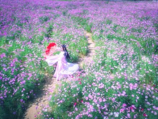 DJI_0099-2