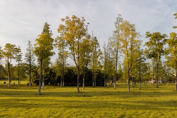 959784