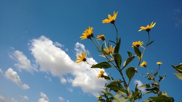 WP_20131002_014