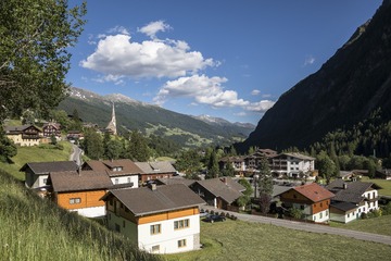 IMG_8345 ??