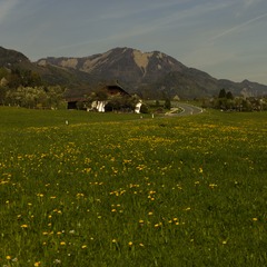 CF002281