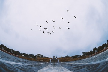 掠影