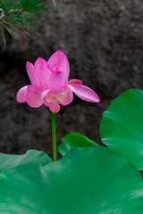 001