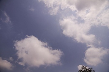DSC_0193