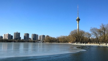 DSC_0477