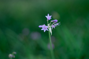 905