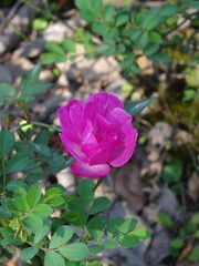 2002