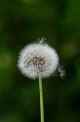 1409