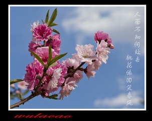 IMG_9720W