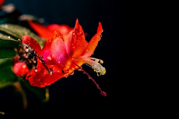 IMG_7739-
