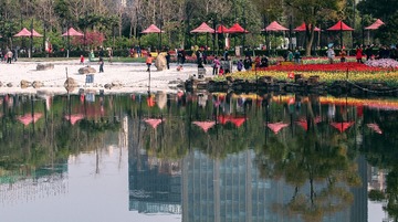 IMG_6344-