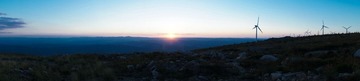 DSC05347.jpg
