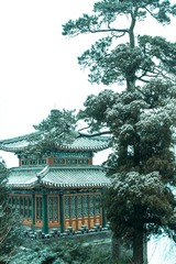 DSC04165.jpg