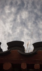 DSC01801-2