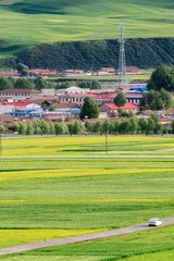 IMG_4706-1