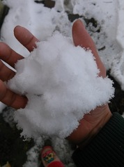 IMG_20140207_120313