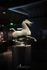 DSC01035