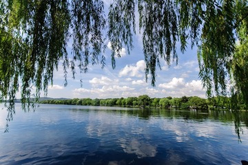 20120721-DSC_0130.jpg