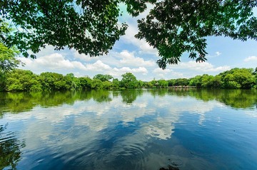 DSC_0063-编辑.jpg