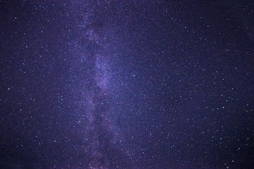 DSC_0038-(2).jpg