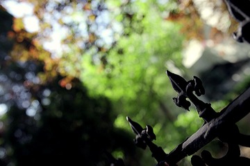 IMG_0201.jpg