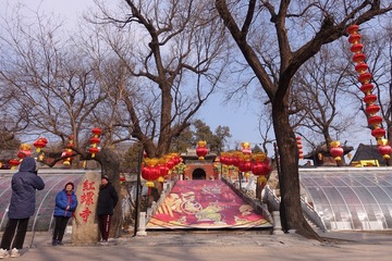 阳光沙爬湾-1