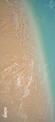 1000055882