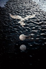 IMG_2052-01