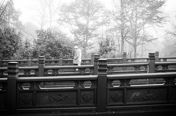 DSC_4800-2.jpg