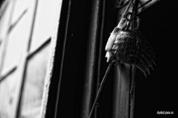 DSC_05641.jpg