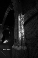 DSC_5997.jpg