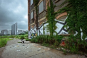 DSC_3343.jpg