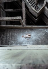 DSC_5776.jpg