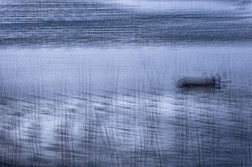 DSC_1596.jpg
