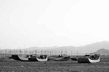 DSC_2781.jpg